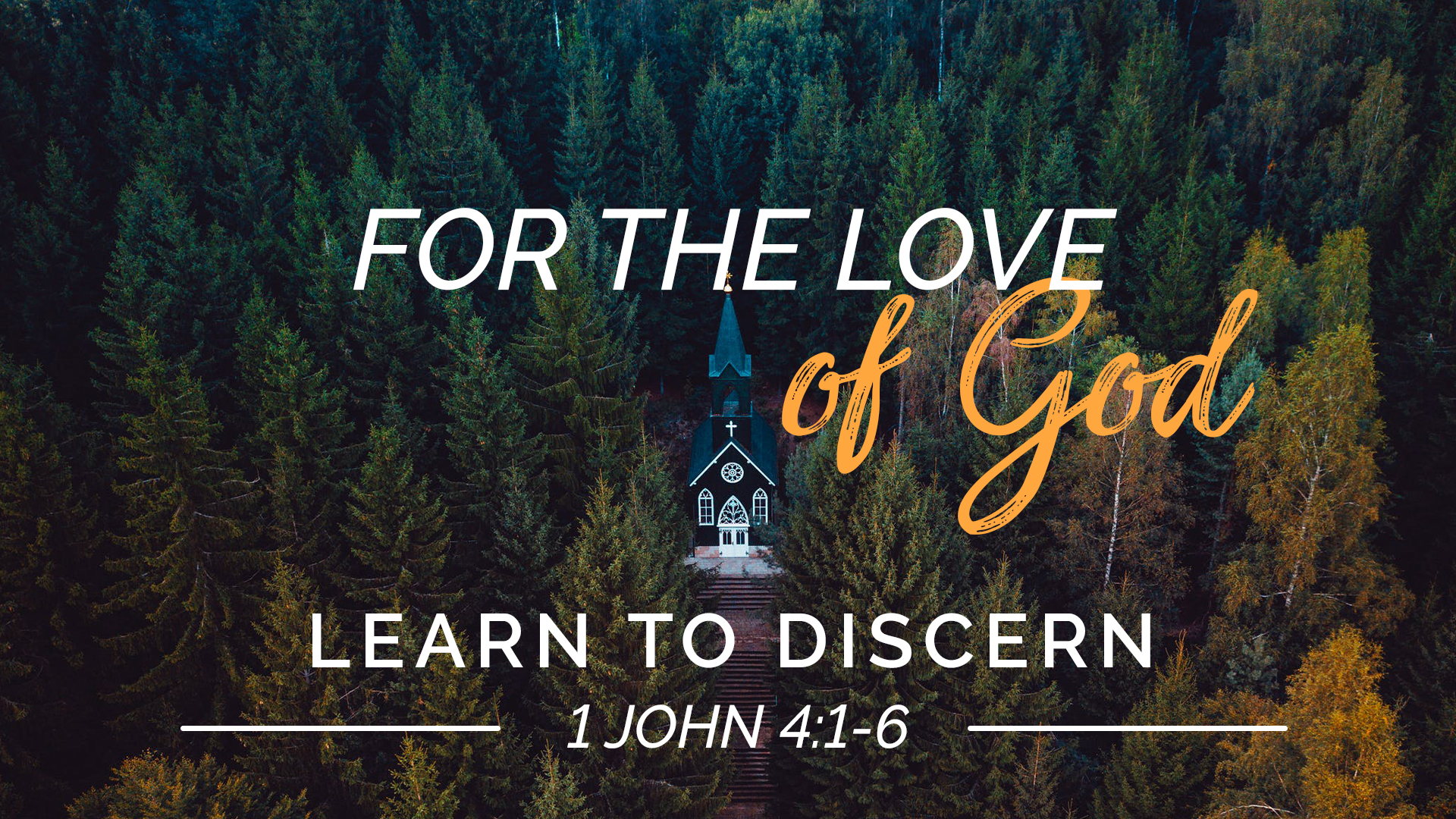 Learn to Discern