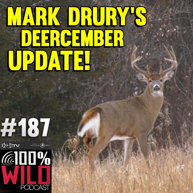 It's Been a Warm December w/ Mark Drury EP -187
