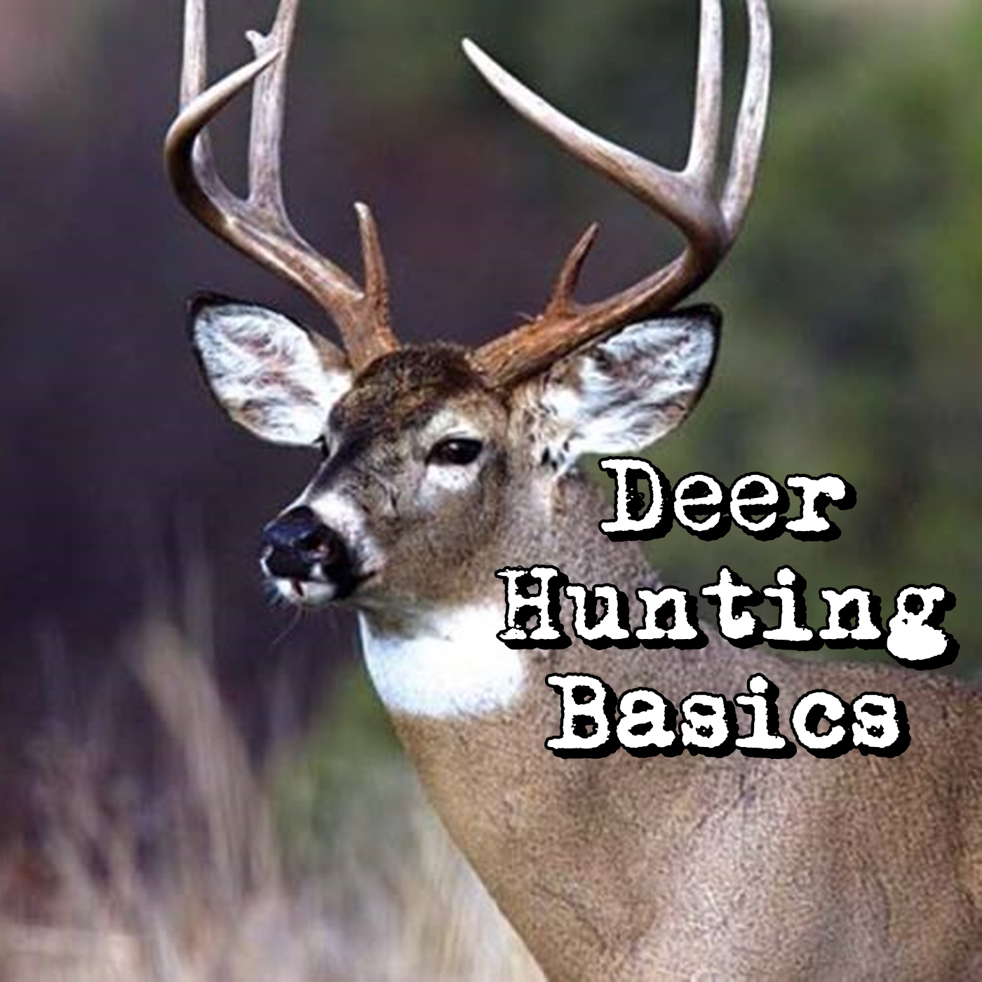 Deer Hunt by Big Buck Registry