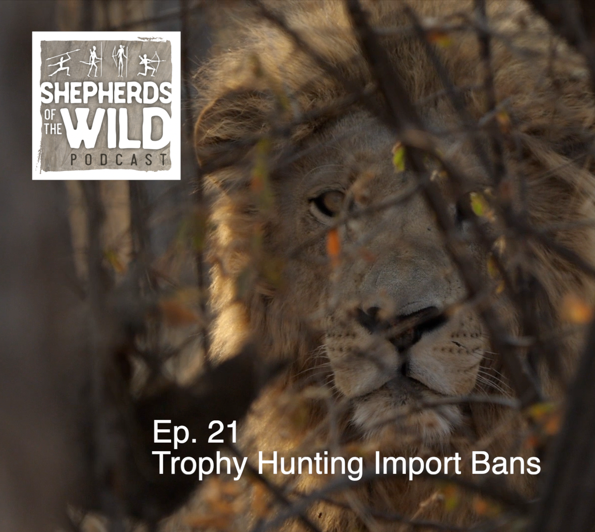 Ep. 21 - Trophy Hunting Import Bans with John Shields & Nikolaj Bichel