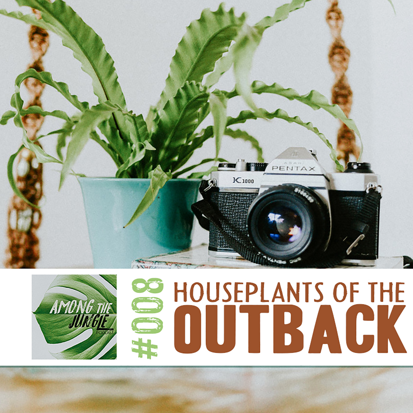 Houseplants of the Outback: Australia's Exotic Flora and Endemic Houseplants