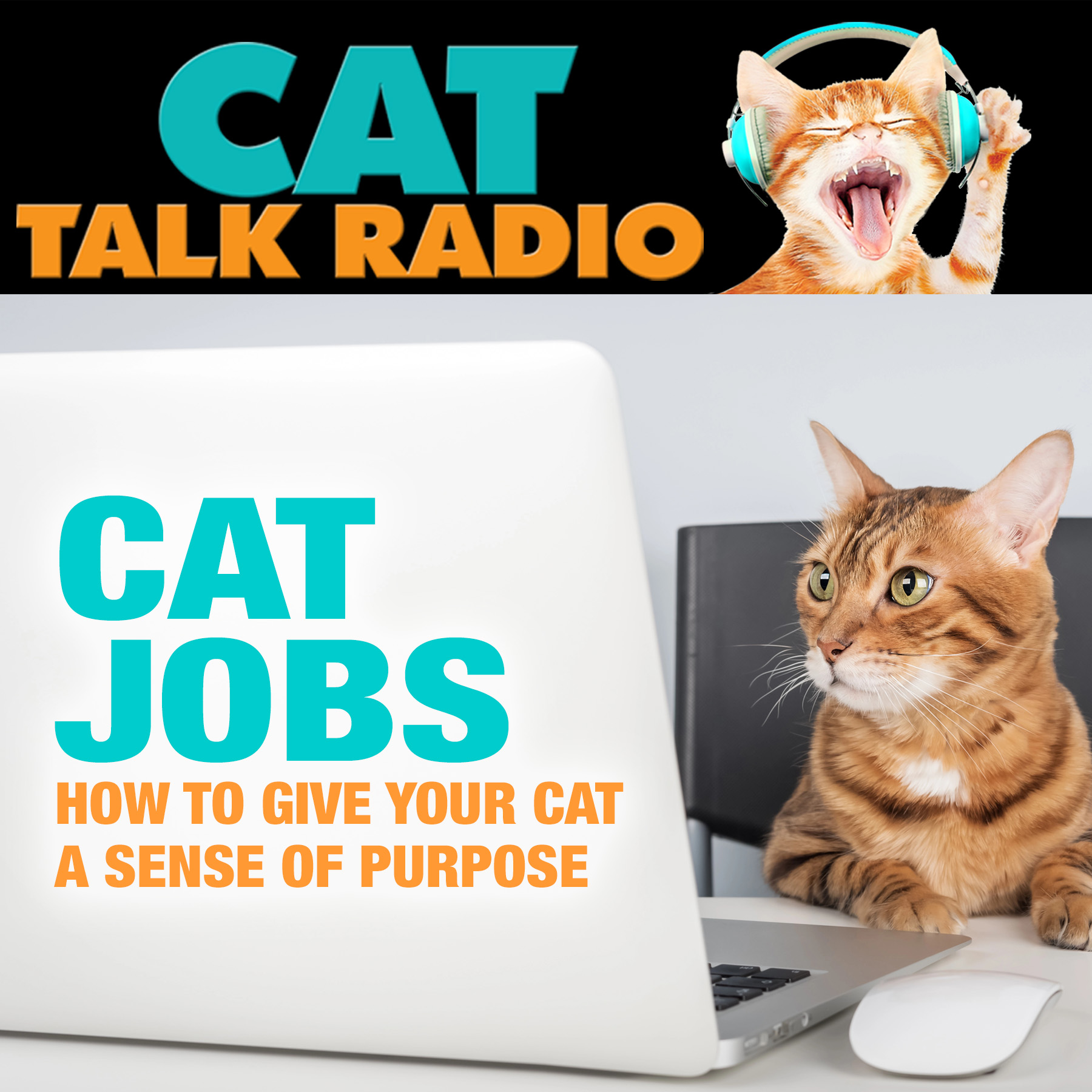 Cat Jobs: How to Give Your Cat a Sense of Purpose
