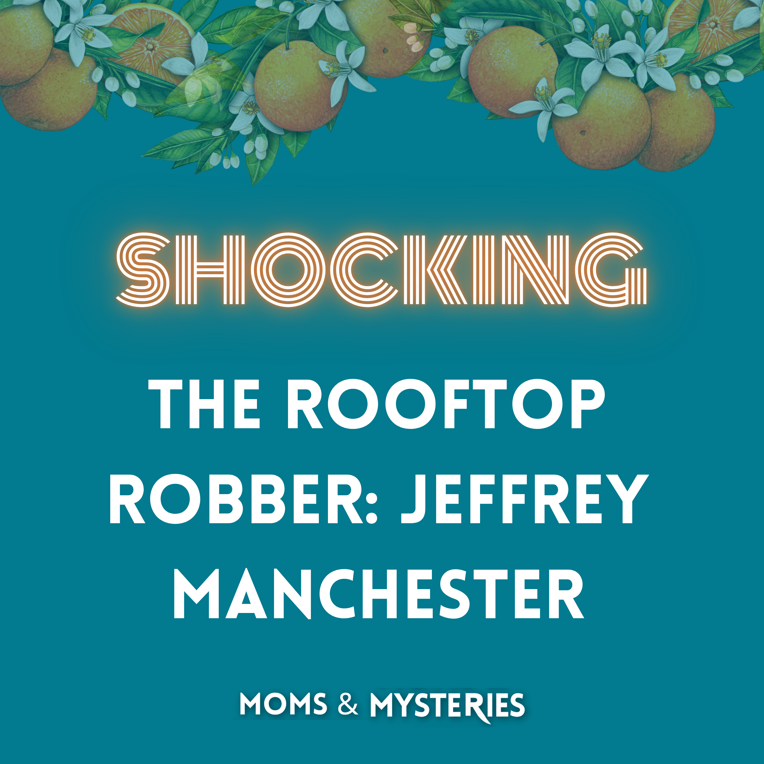 The Rooftop Robber: The Wild Story of Jeffrey Manchester The Rooftop Robber: The Wild Story of Jeffrey Manchester
