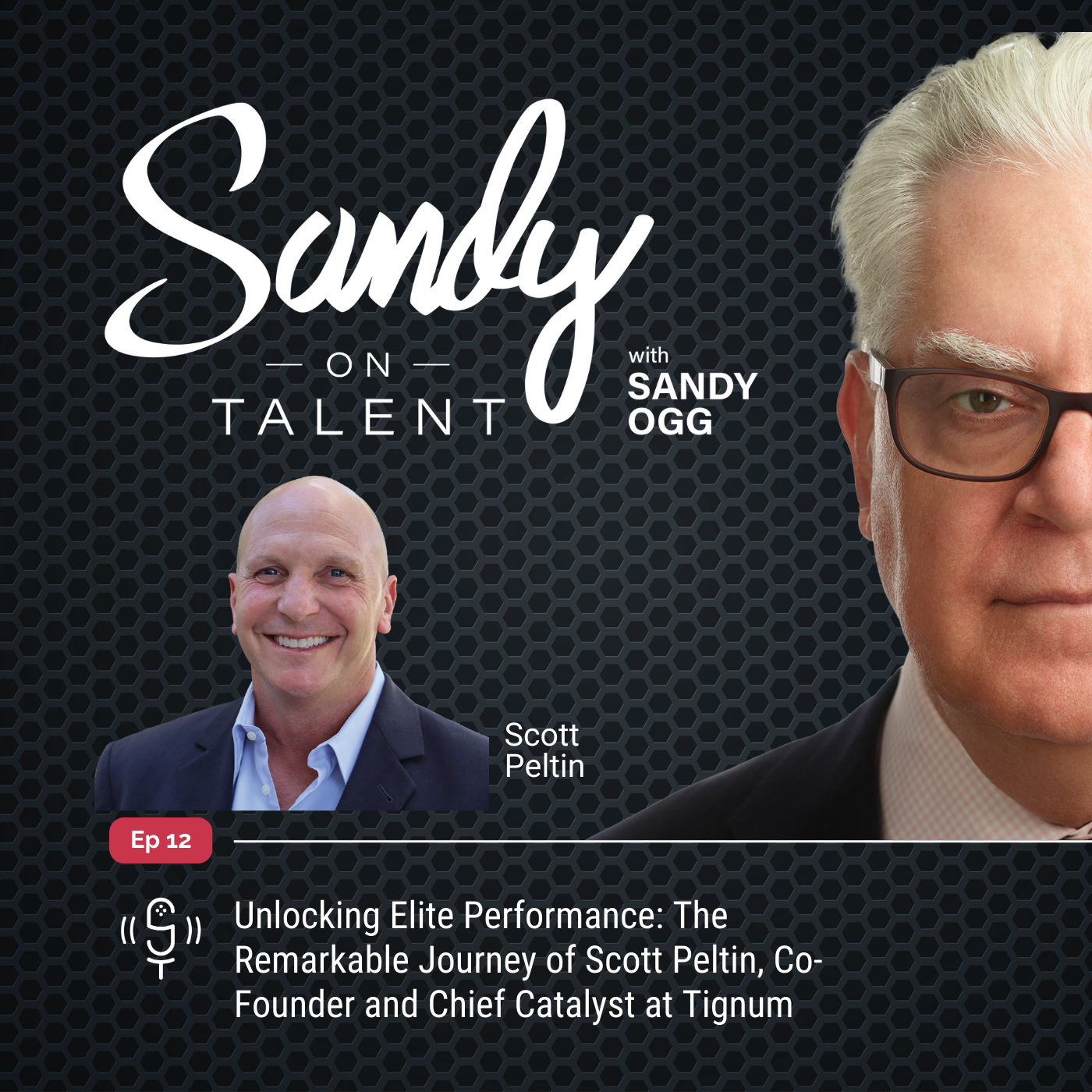 Sandy on Talent - Insights and Strategies for Leadership Excellence and Talent Optimization
