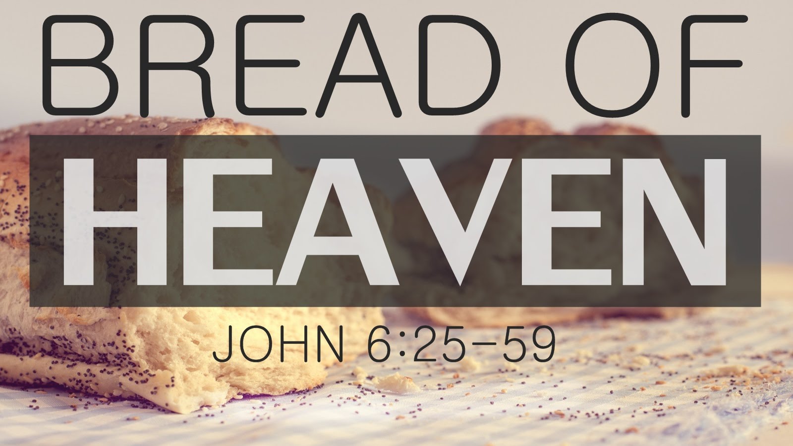 Sermon - Thanksgiving - John 6:25-35