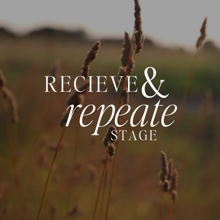 Embrace Success and Repeat: The Final Stage of The Next Brave Step Blueprint