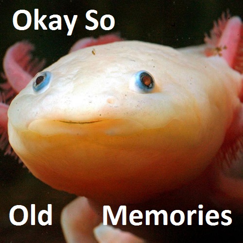 Okay, So..