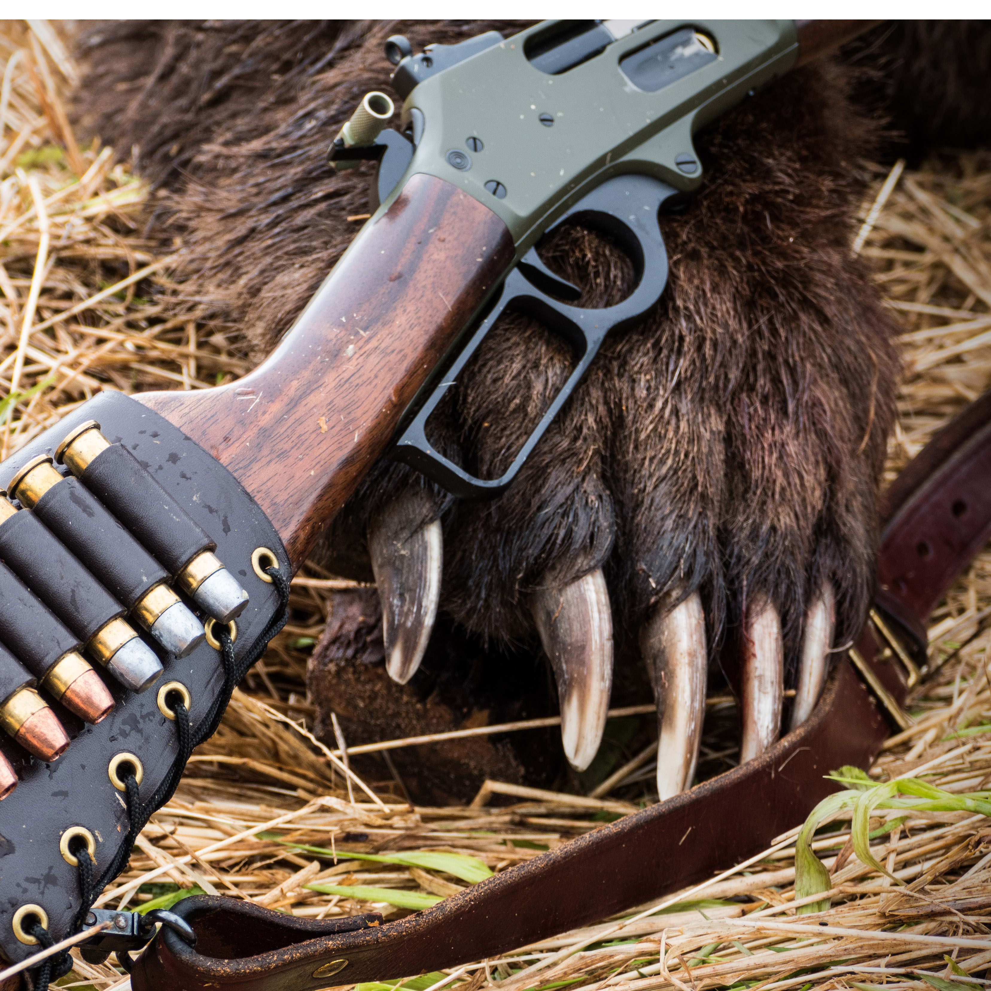 BEAR GUNS: defend, guide, & hunt with these top guns, cartridges, and bullets.