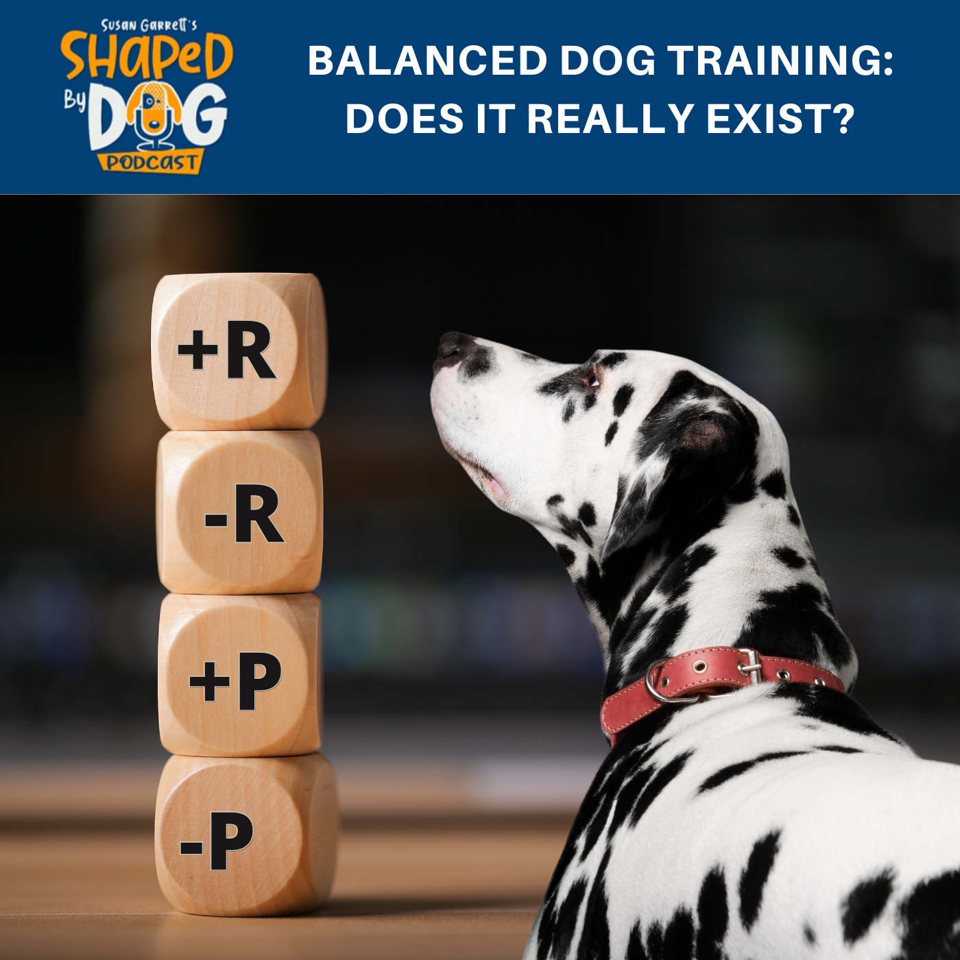 Shaped by Dog with Susan Garrett