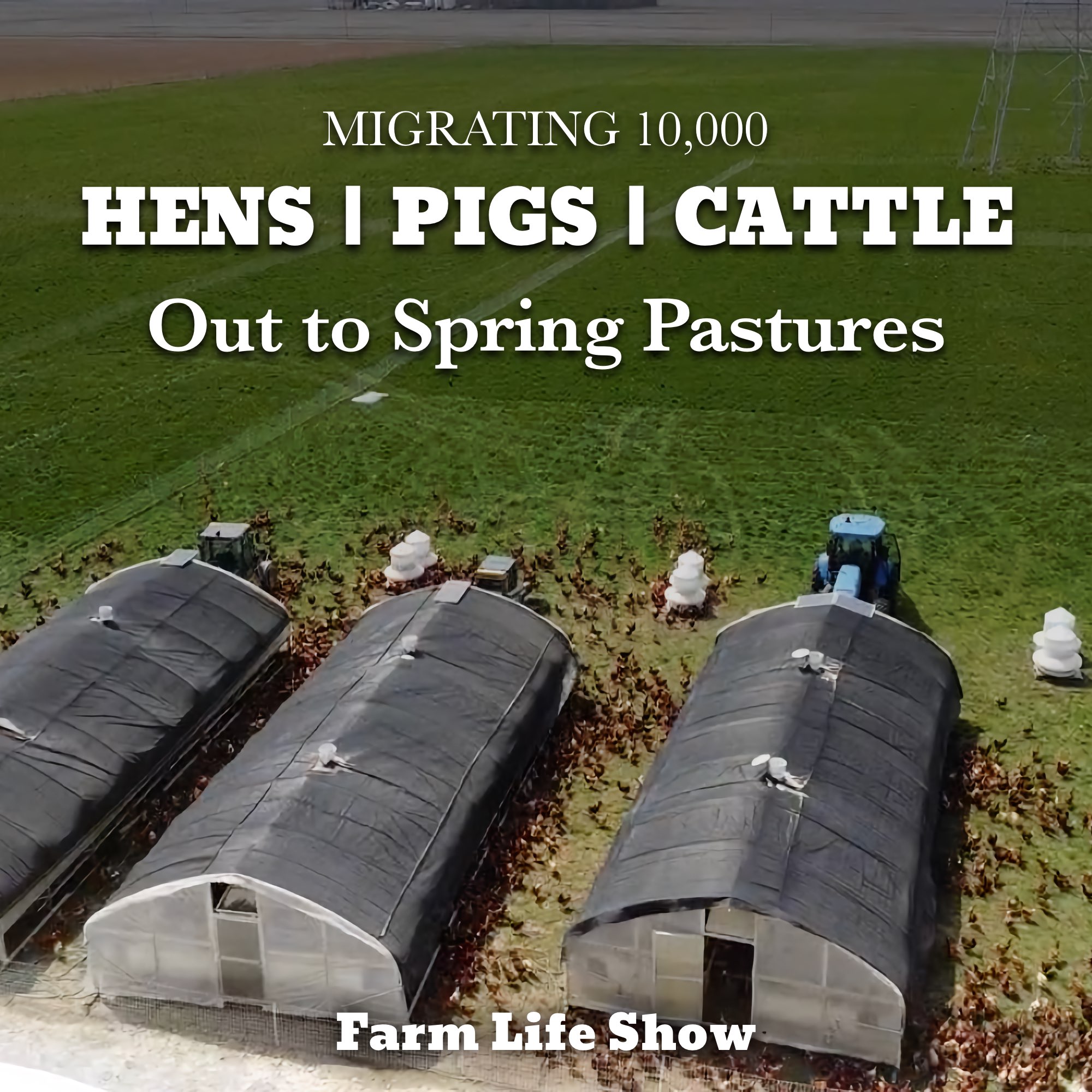 Can We Feed the World with Regenerative Farming?