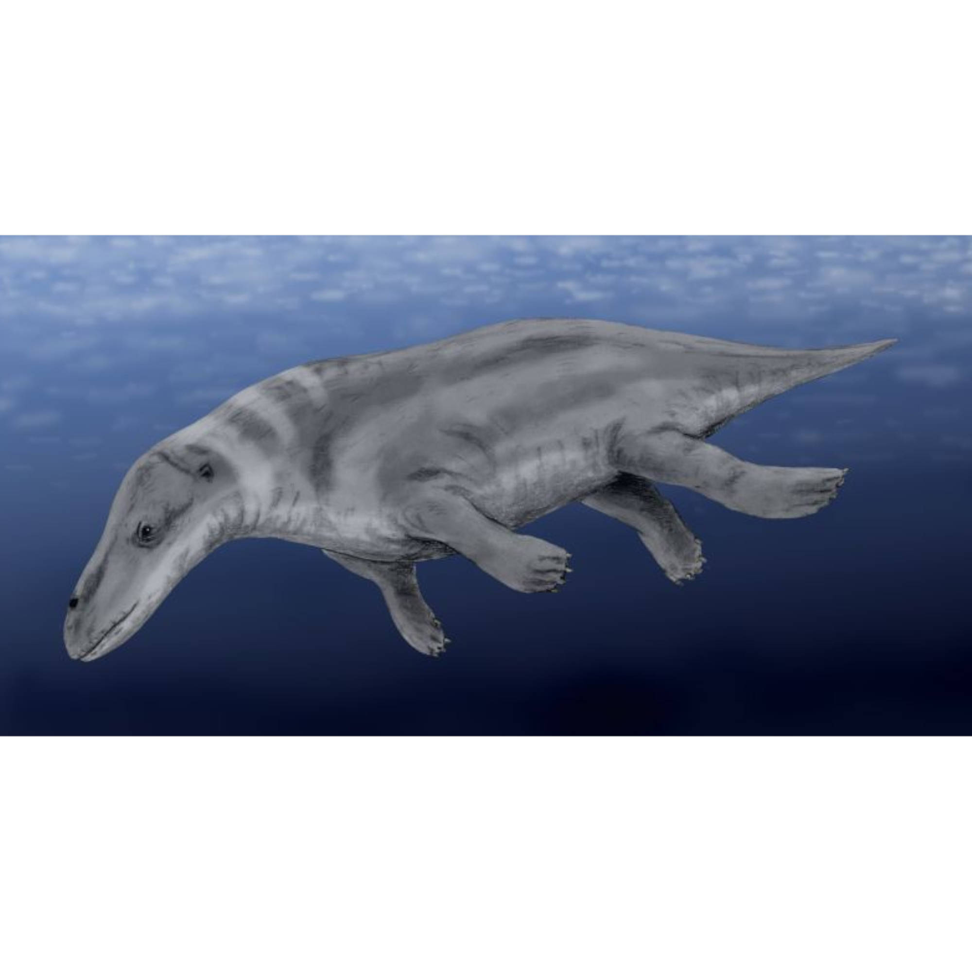 Whales of Land