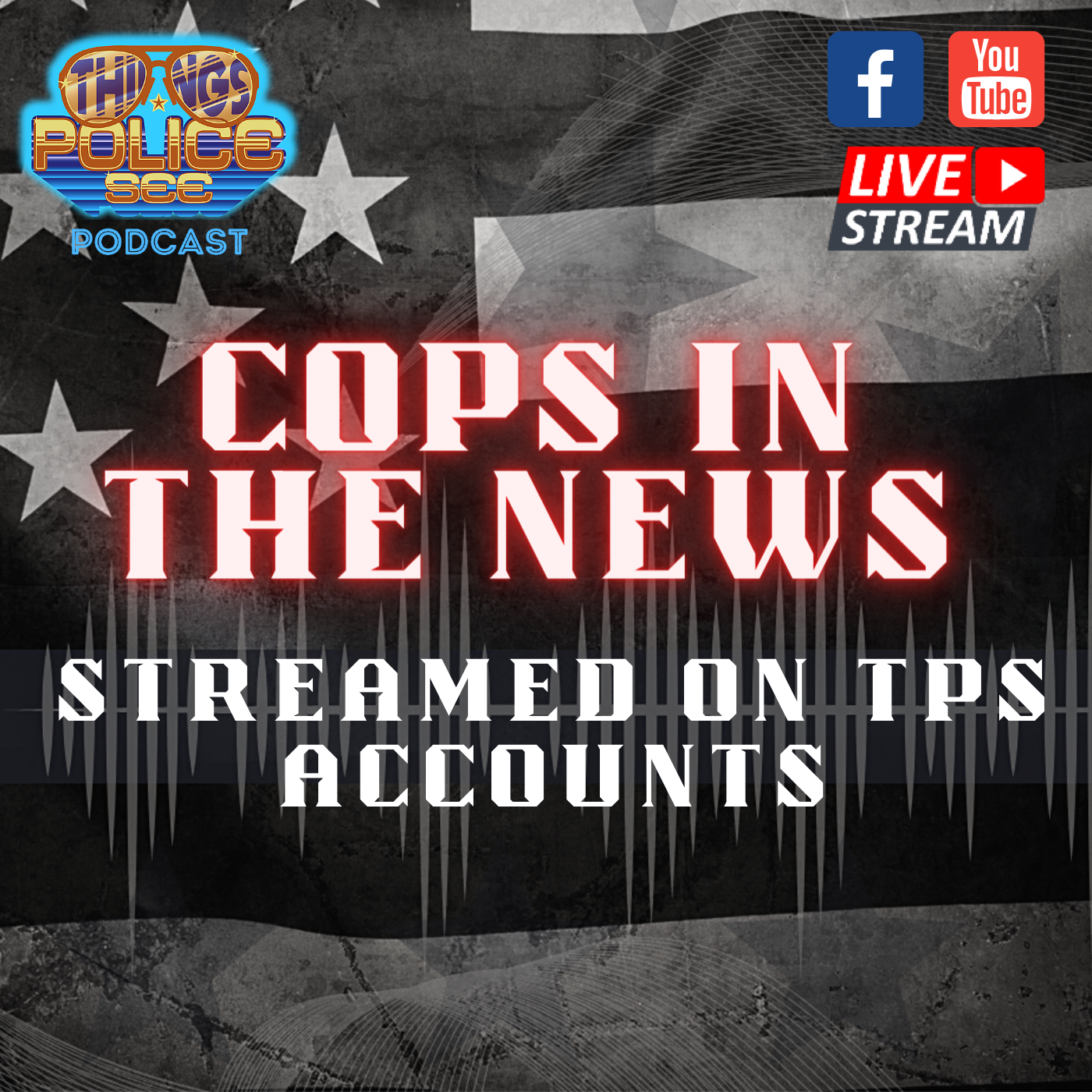 Things Police See: Firsthand Accounts