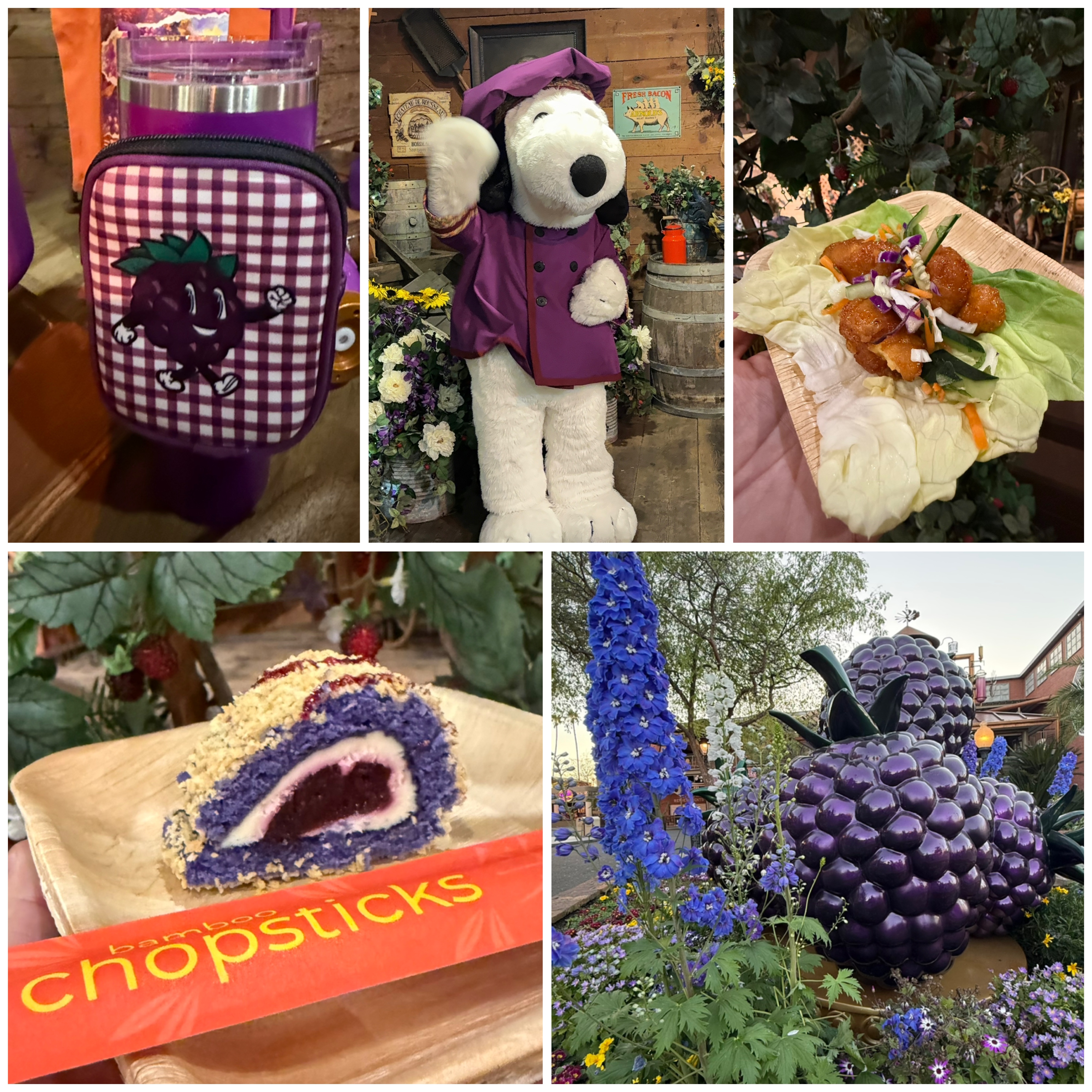 Episode 1043 - Knott's Boysenberry Festival Preview, 2026