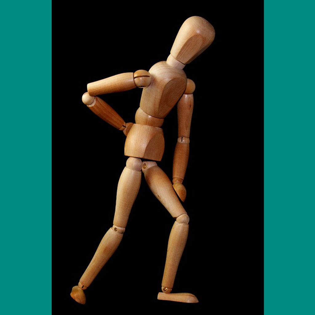 Evolutionists Have a Back Problem