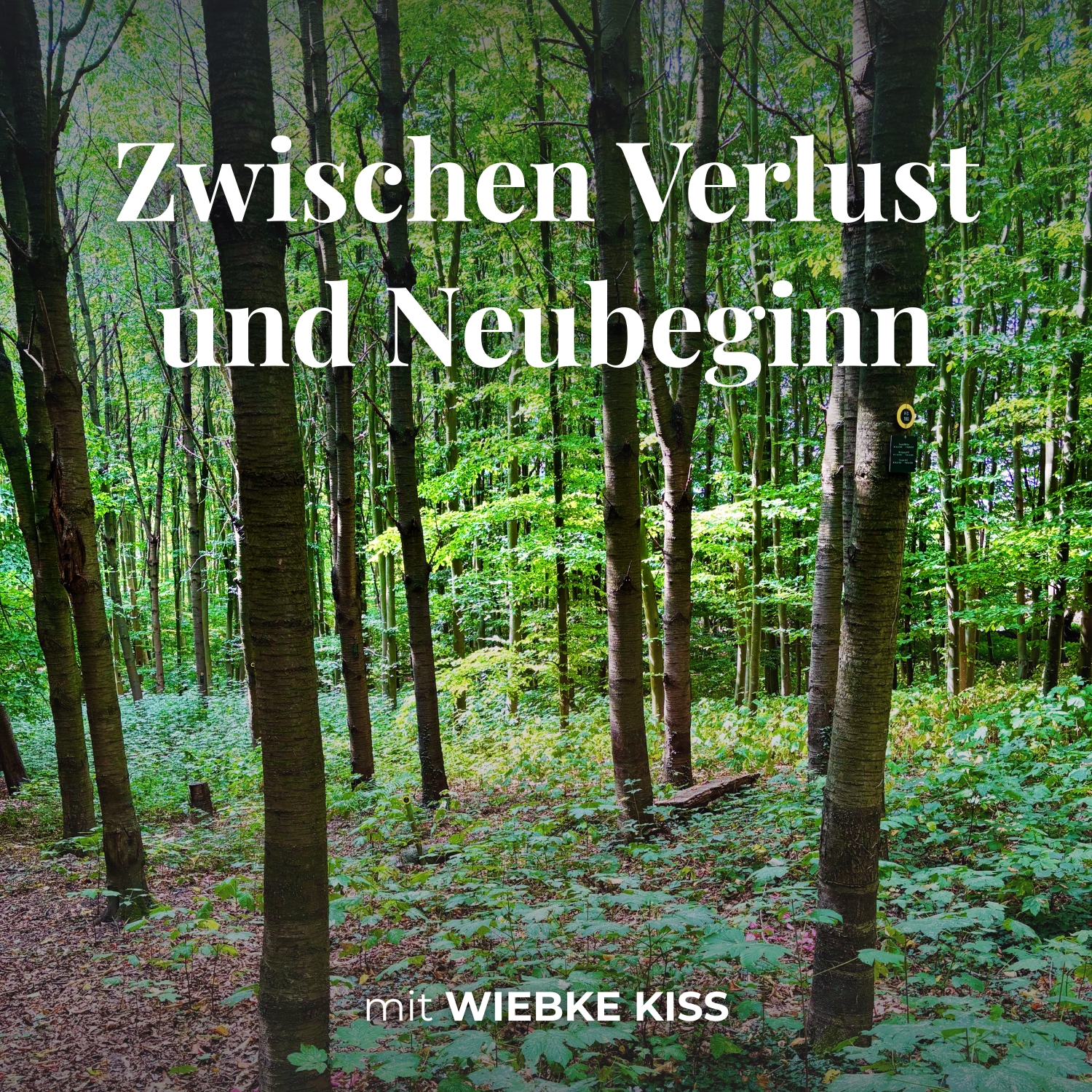 Zwischen Verlust und Neubeginn