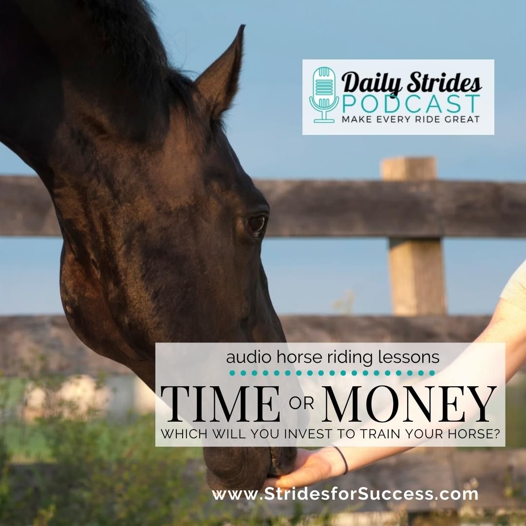 Time or Money; Which is a Better Investment for You and Your Horse?