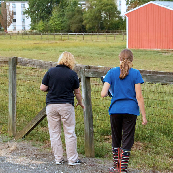 Stall and Stable: Ideas for Happy Horsekeeping