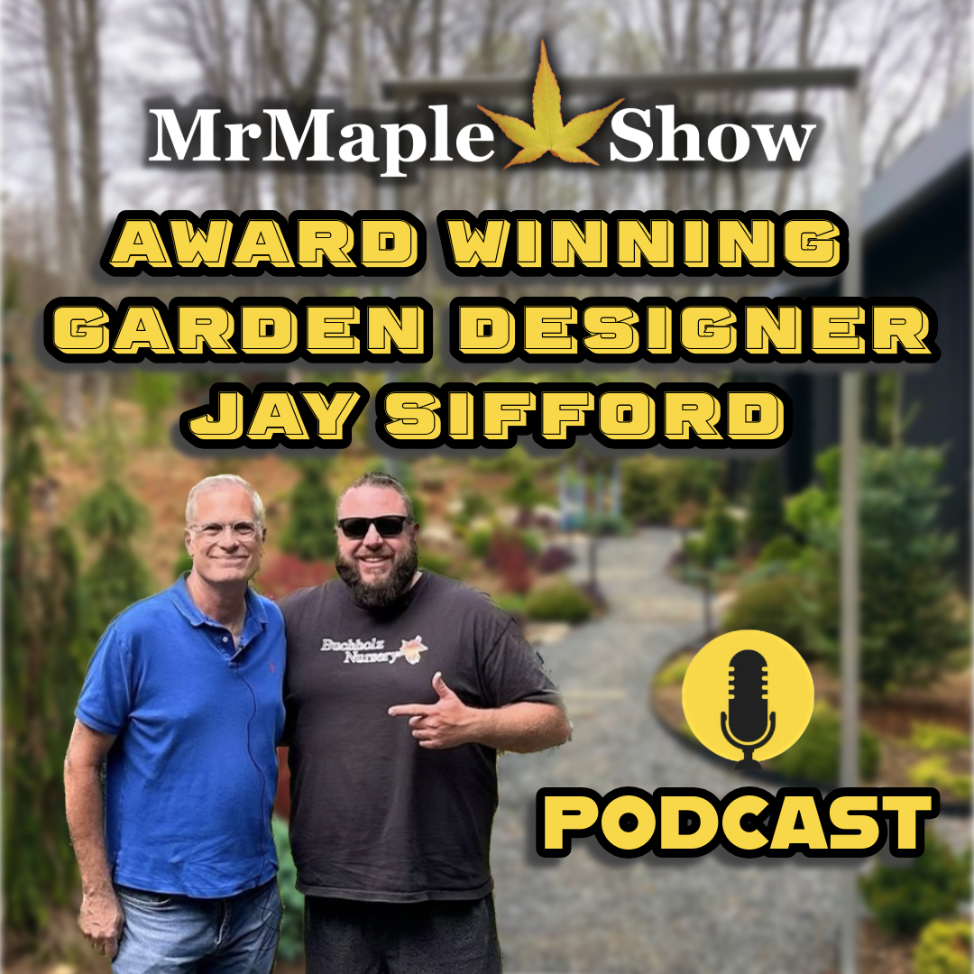 MrMaple Show