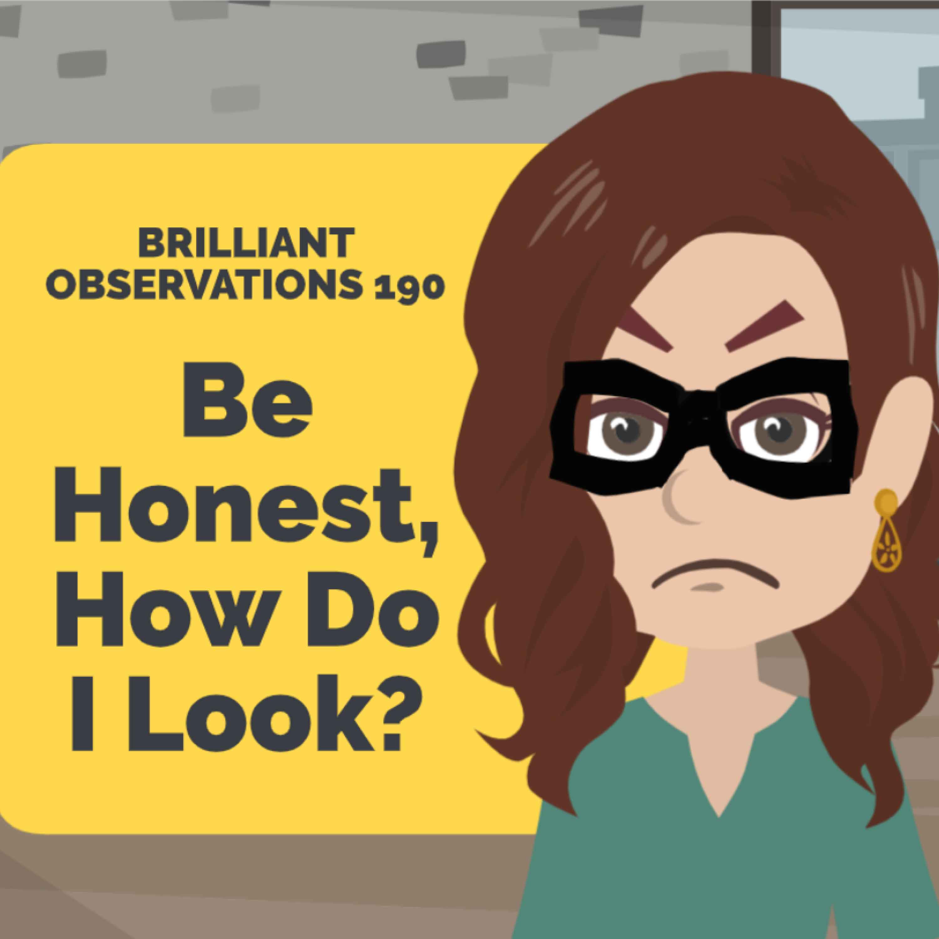 Be Honest, How Do I Look?  |  Brilliant Observations 190