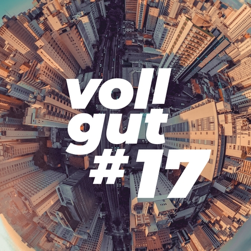 vollgut #17 3 Gründe, warum die Welt ohne Superreichtum eine besser wäre
