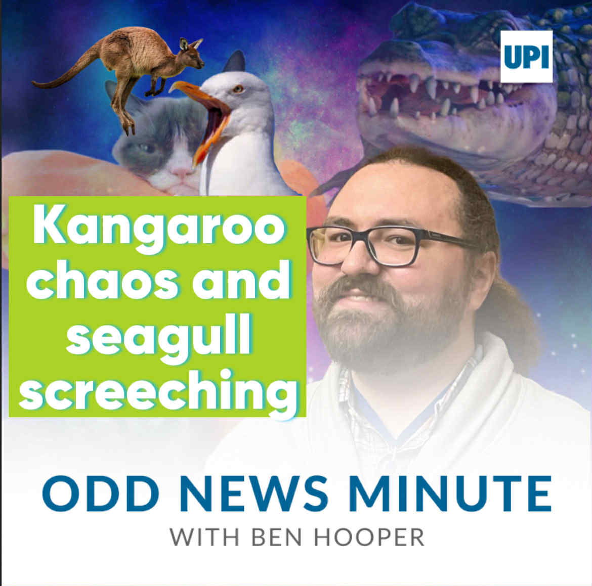 Alabama kangaroo crash, seagull screeching championship