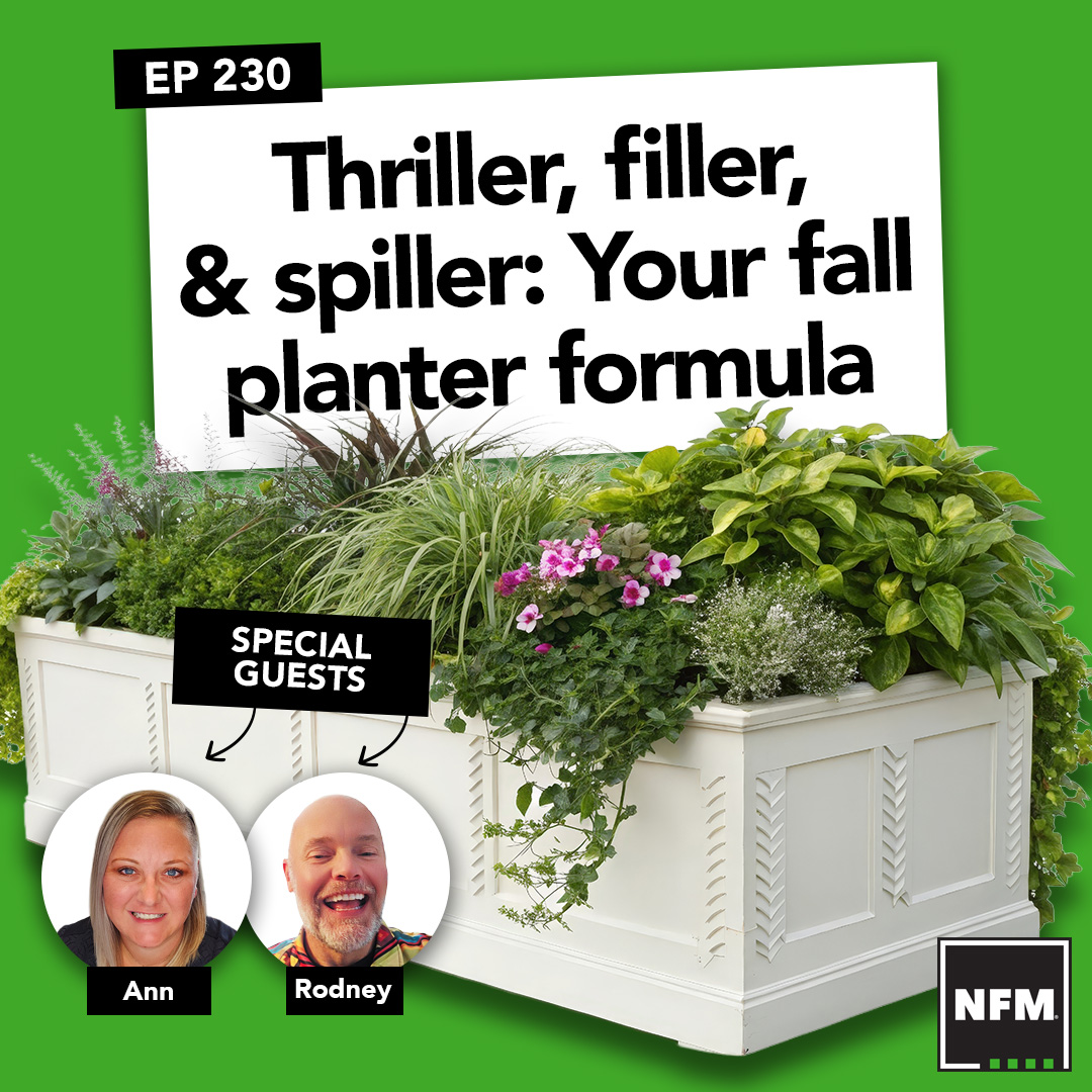 Thriller, filler, & spiller: Your fall planter formula