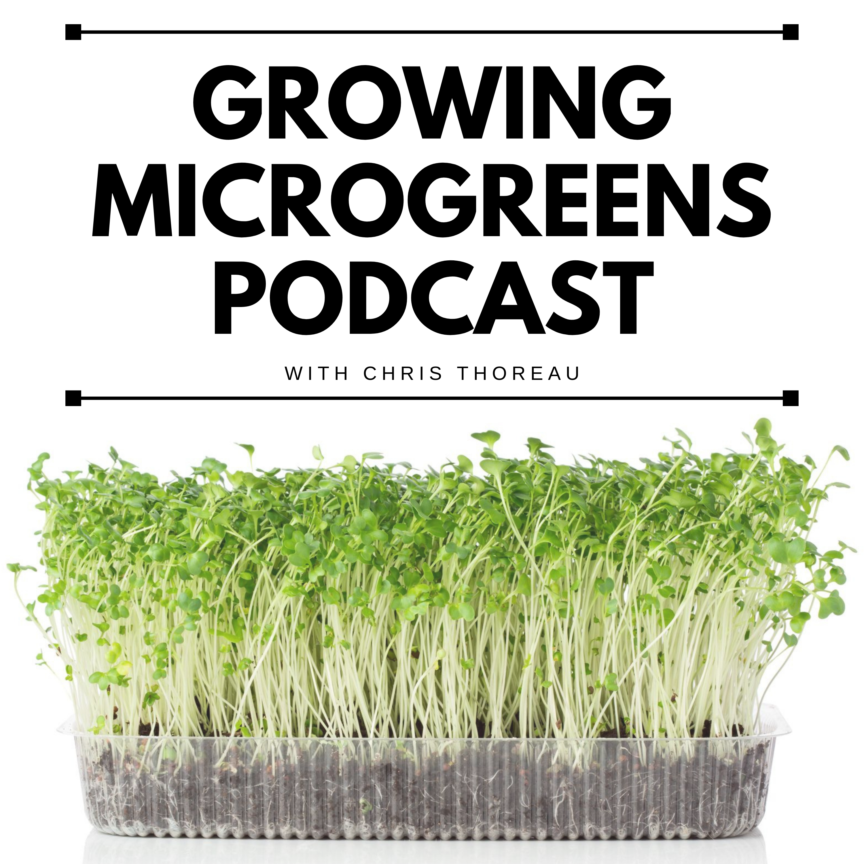 The Growing Microgreens Podcast: Microgreens and Montana Dreams: Joe Sessions on Building a Local Brand