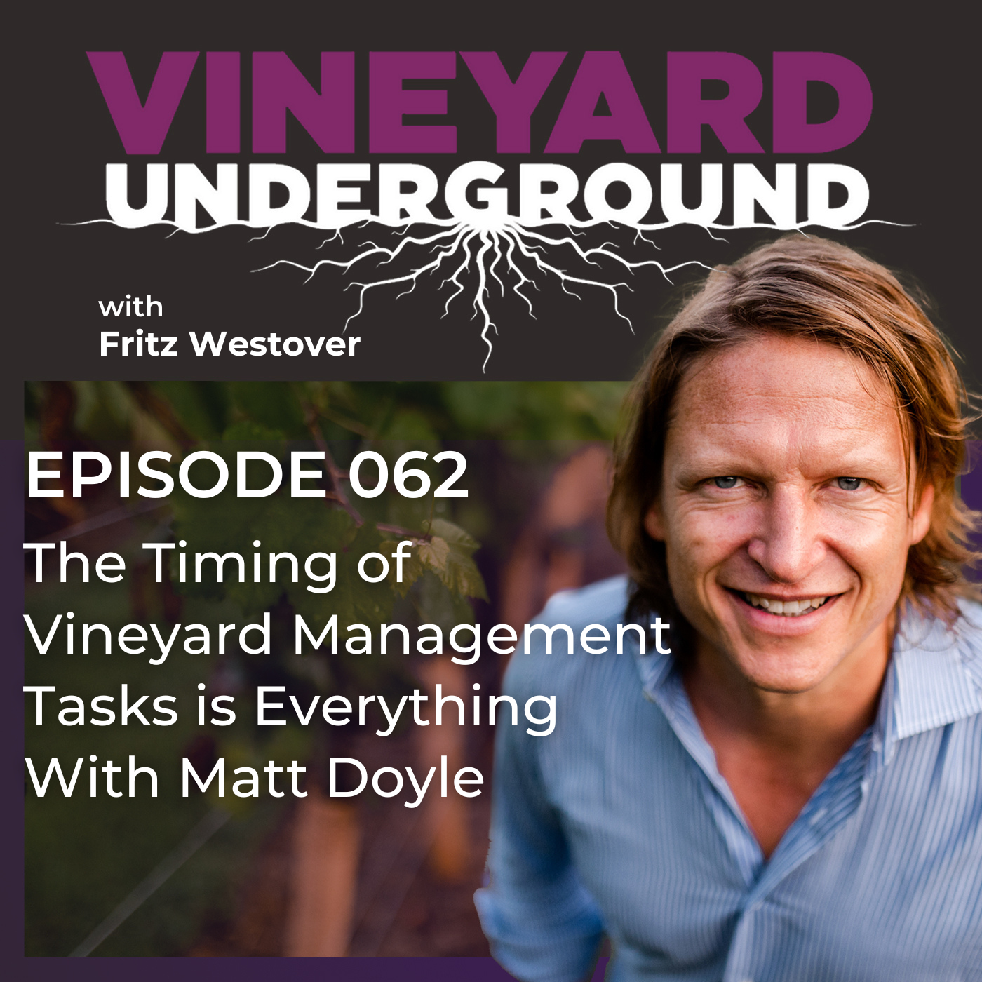 Vineyard Underground