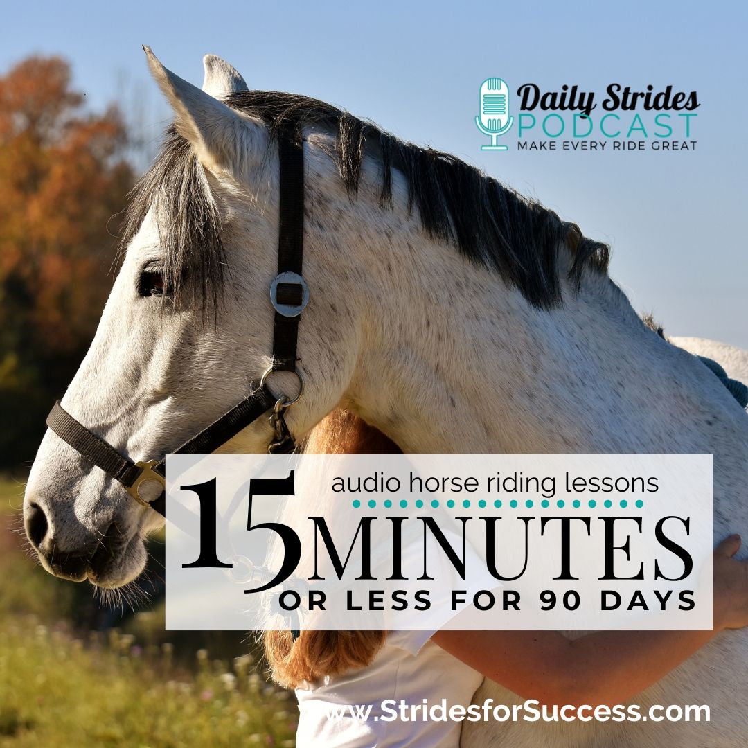 15 Minutes or Less with Your Horse... For 90 Days?