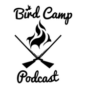 Introducing: The Bird Camp Podcast!