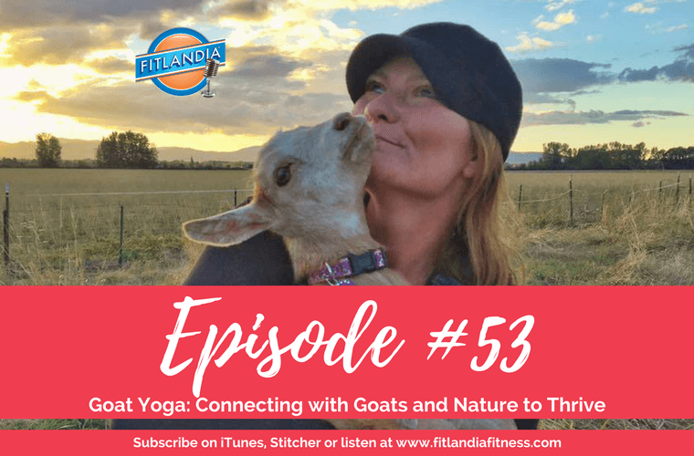 Fitlandia | Fitness for Your Mind