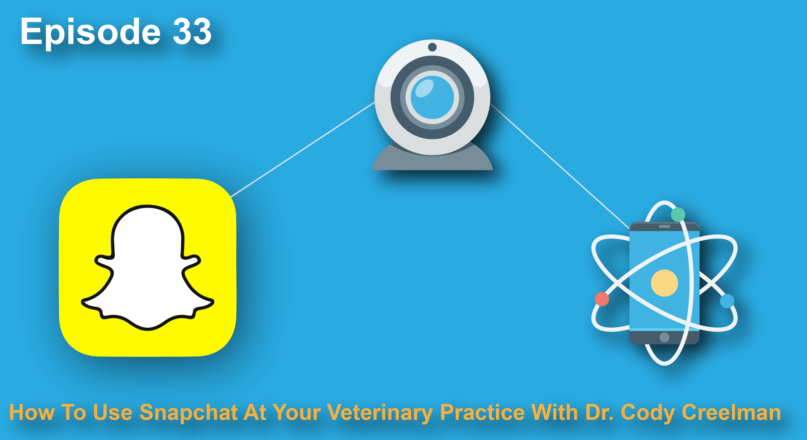 The Veterinary Marketing Podcast