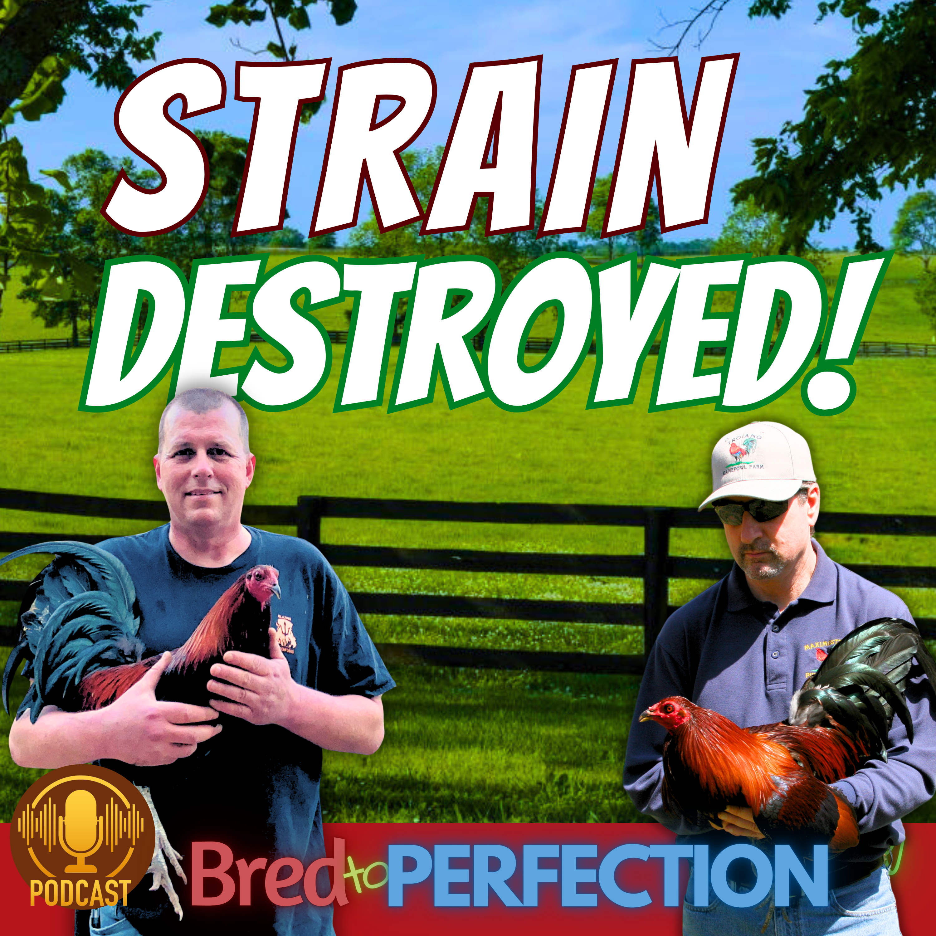 HOW TO DESTROY YOUR STRAIN: What breeders don’t know, can hurt them