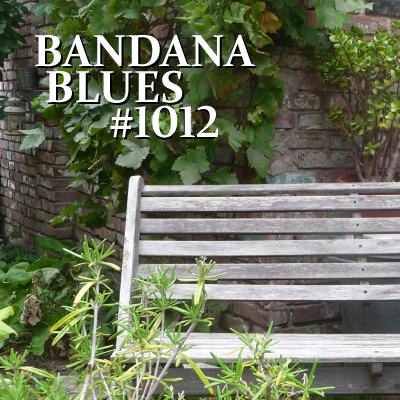 Bandana Blues, founded by Beardo, hosted by Spinner