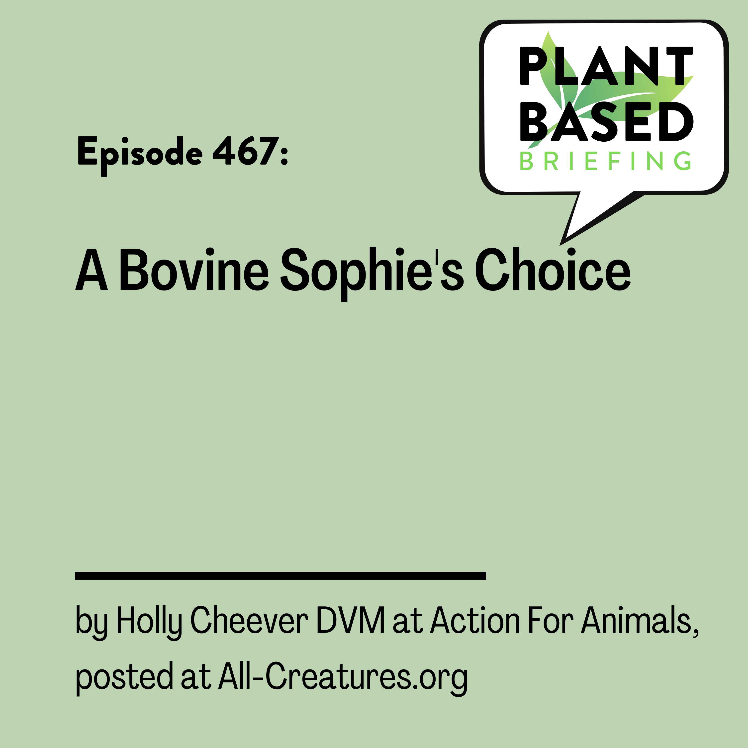 467: A Bovine Sophie's Choice by Holly Cheever DVM at All-Creatures.org