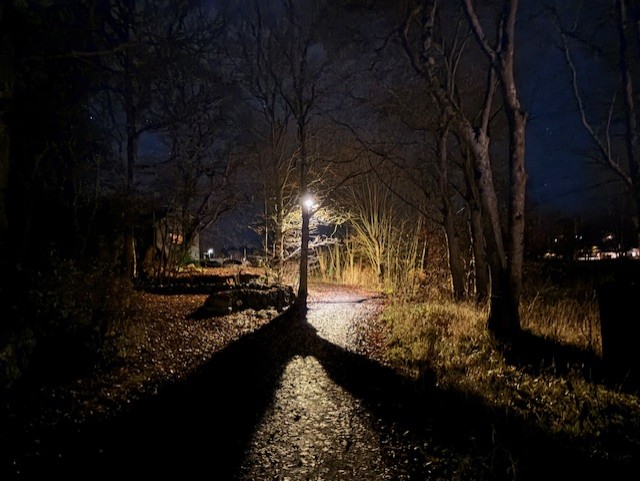 439. Ljuset brinner lugnt