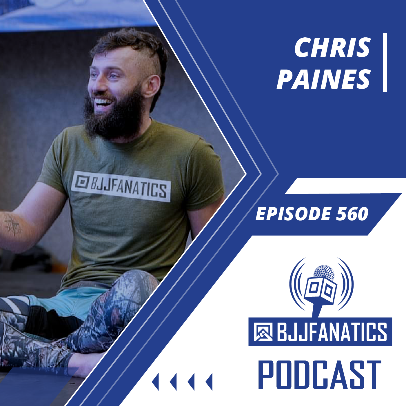 The BJJ Fanatics Podcast