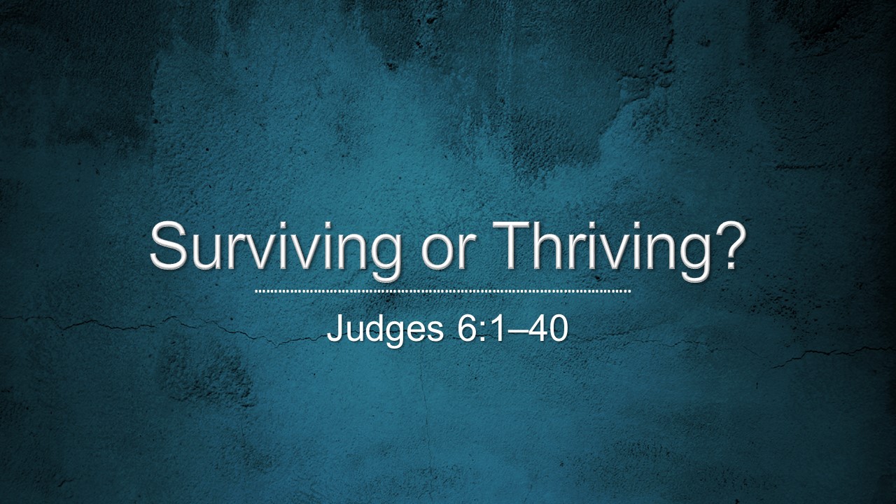 Surviving or Thriving? ( Dr. Chris Bonts) episode artwork