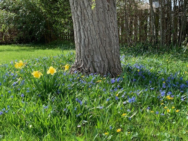 409. När livet kommer till oss