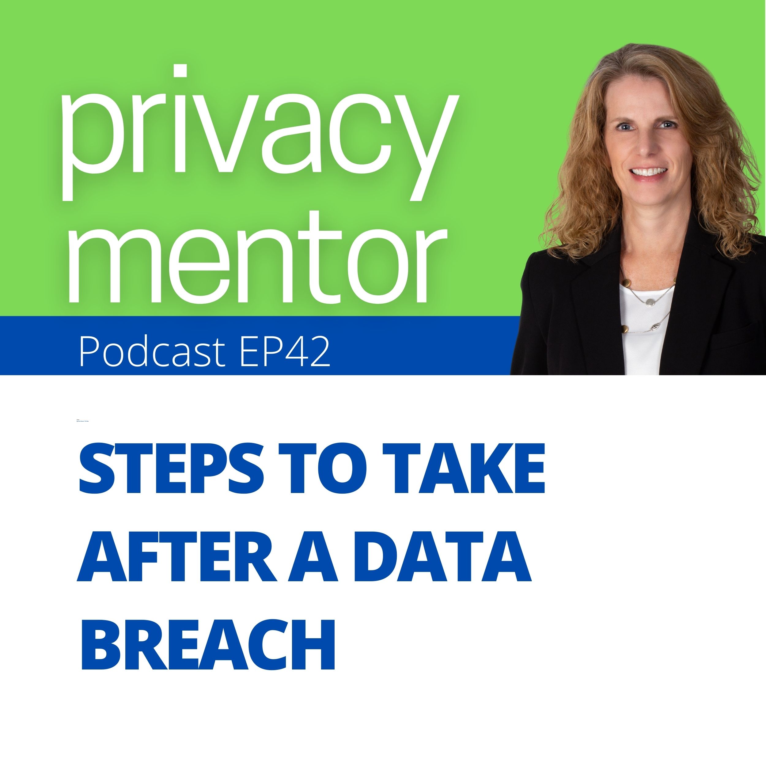 Privacy Mentor with Carrie Kerskie
