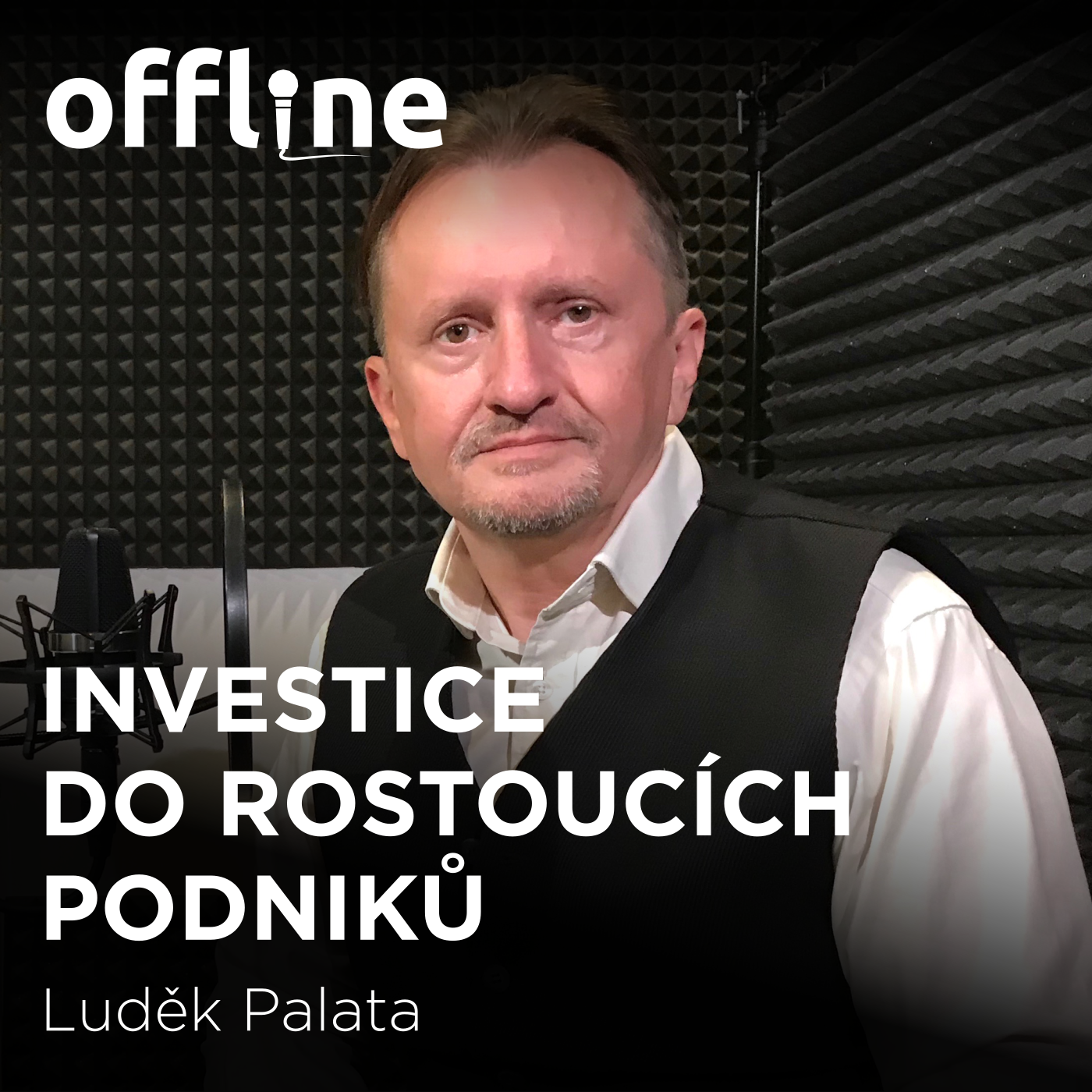 Luděk Palata: Investice do rostoucích podniků
