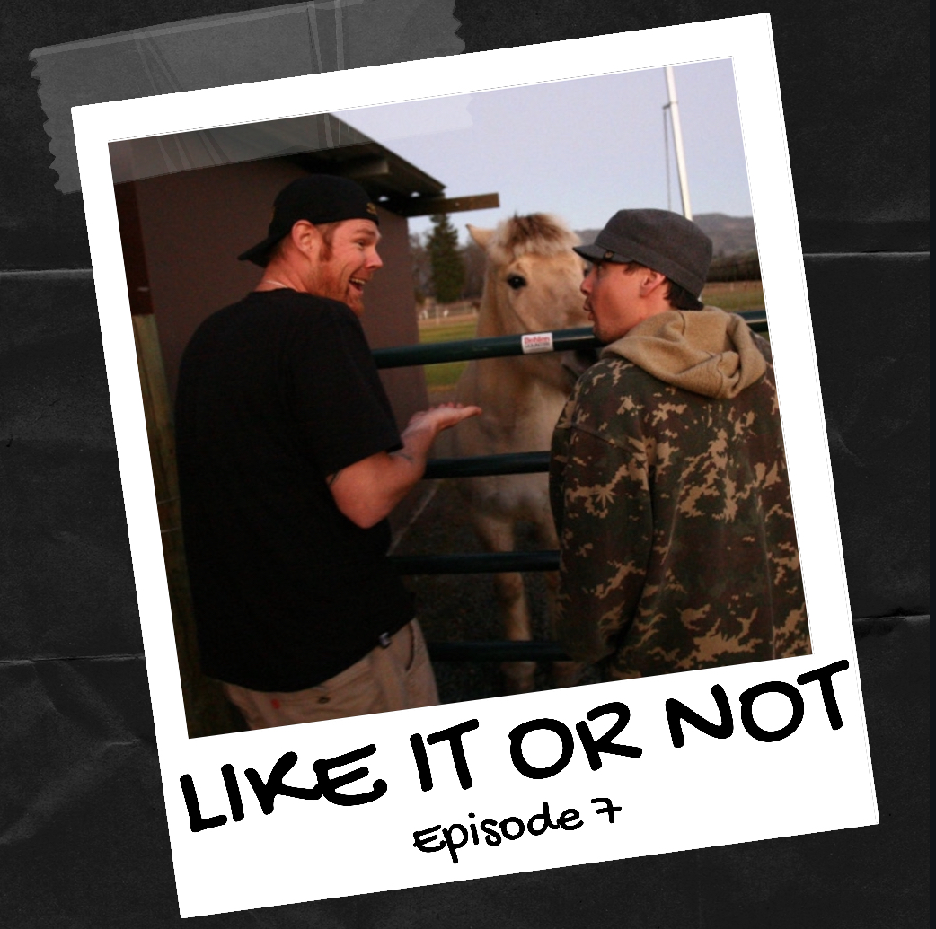 Episode 7