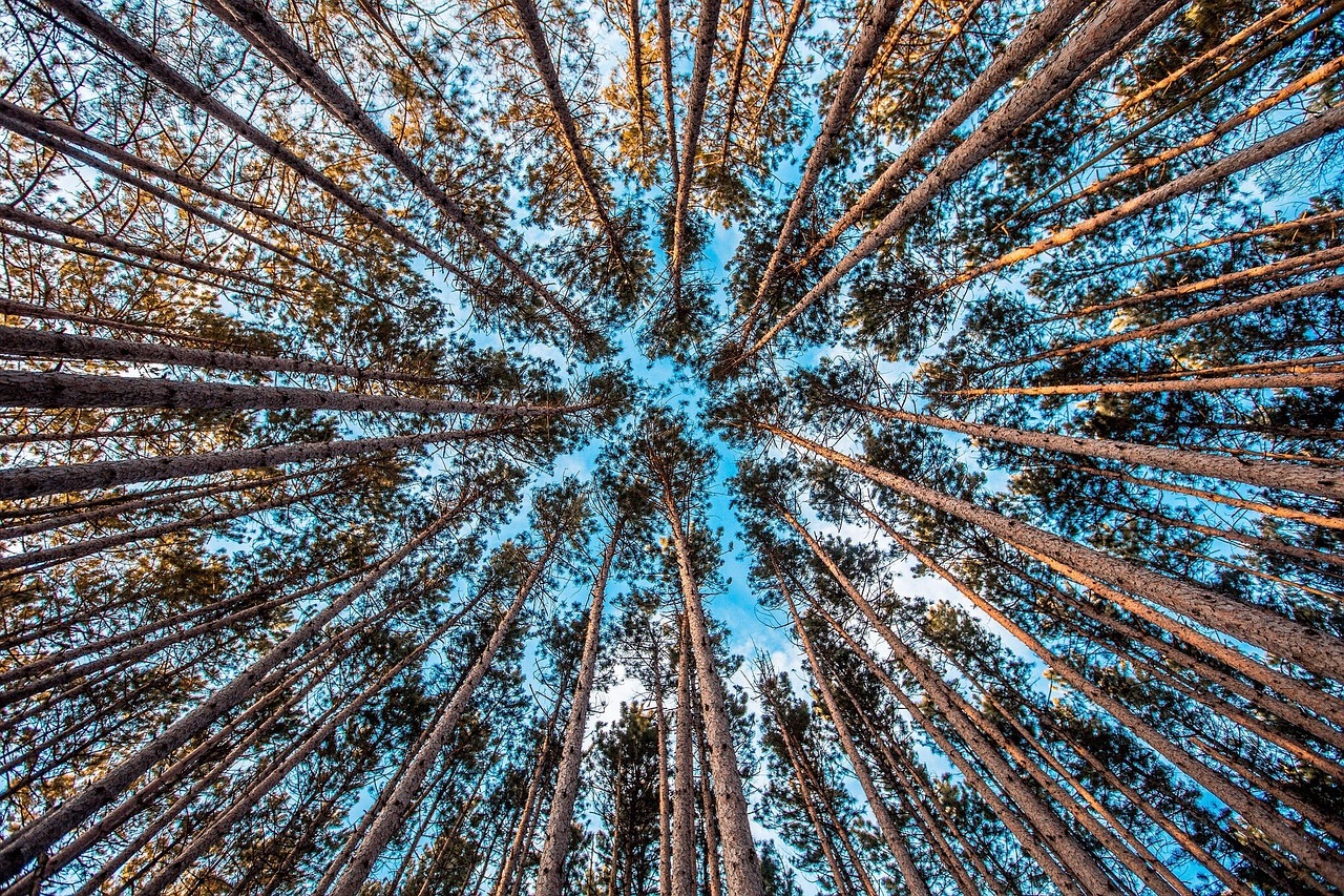 Business On Purpose Conversations