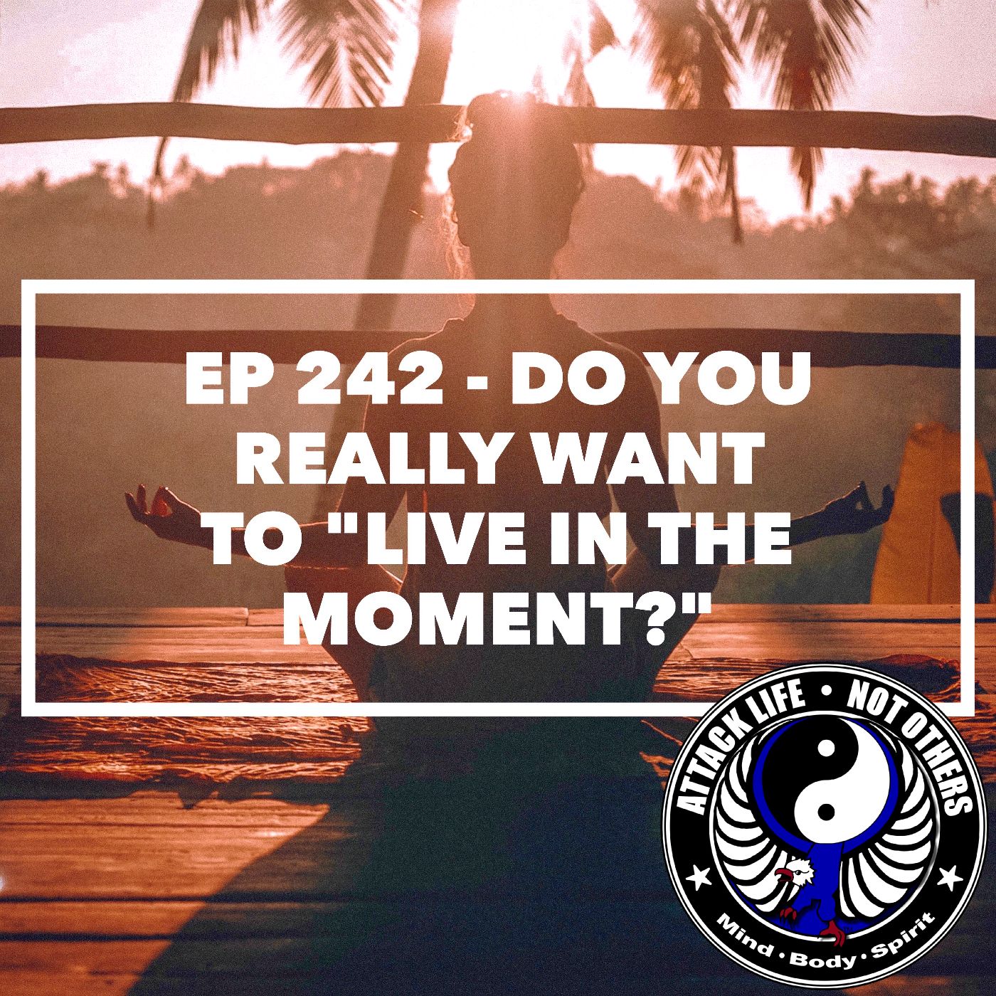 Ep 242 - Do You Really Want to 