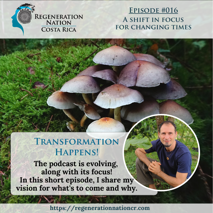 Regeneration Nation Costa Rica