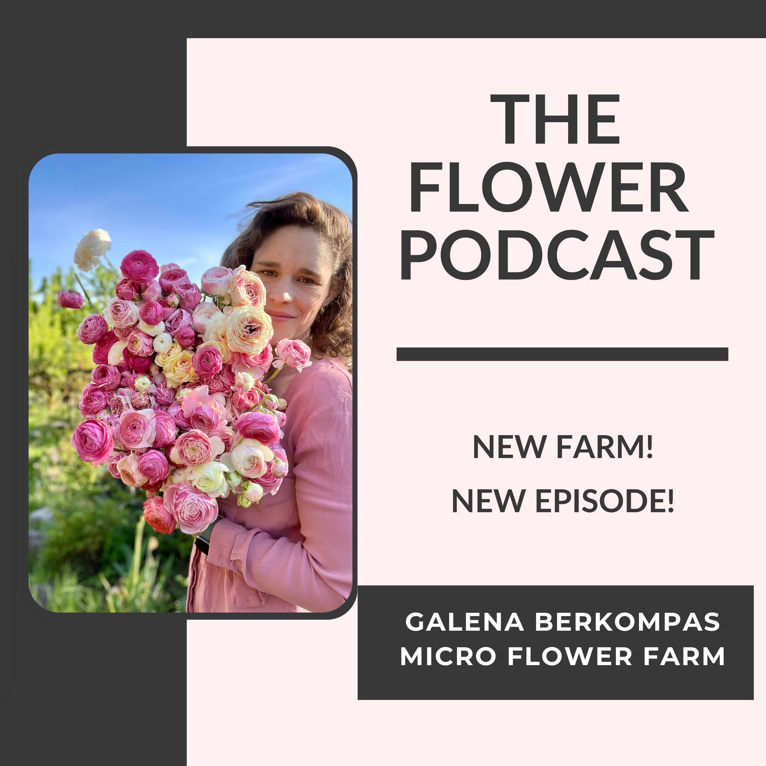 Starting Fresh with Galena Berkompas, Micro Flower Farm