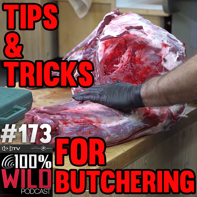 Early-Season, Warm-Weather Butchering Tips EP - 173