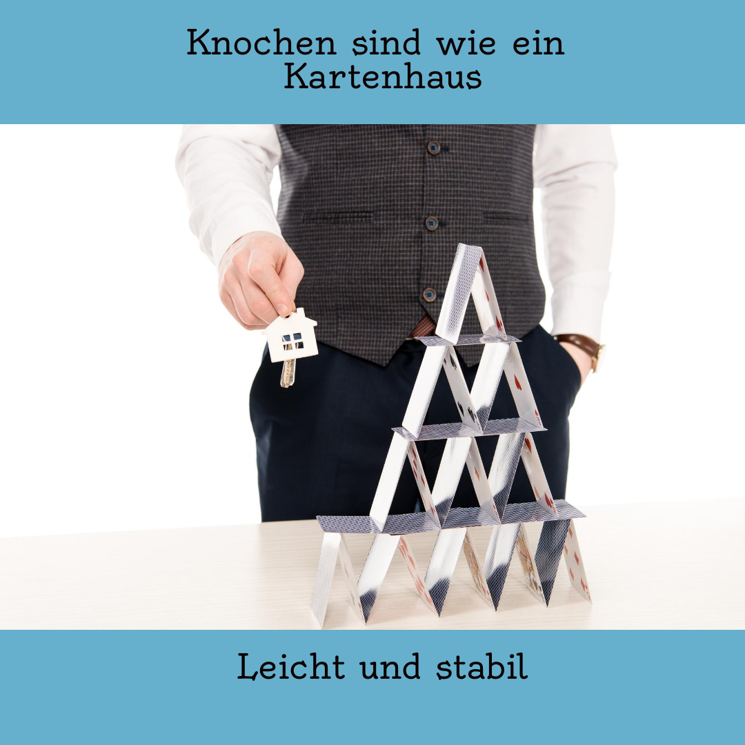 Wunderwelt Körper