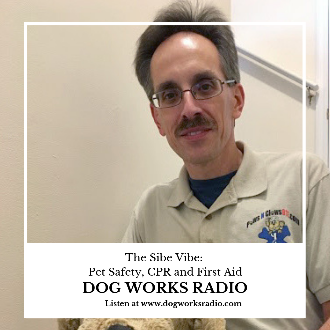 Dog Works Radio