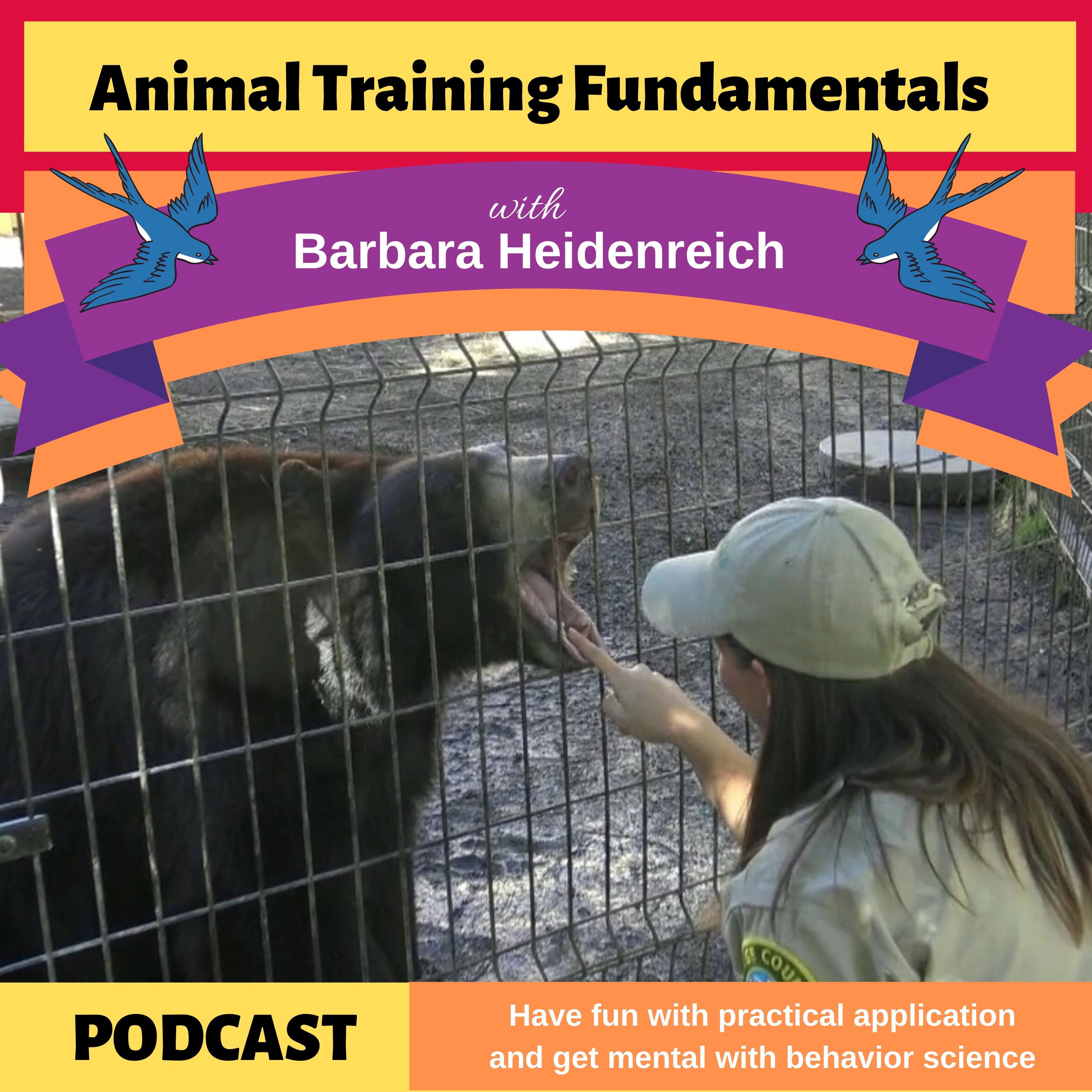 Animal Training Fundamentals with Barbara Heidenreich